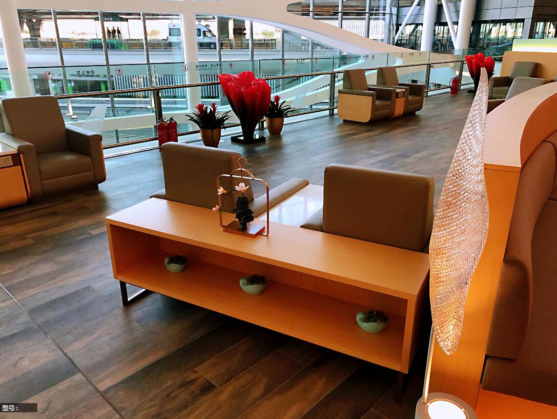 Beijing Daxing Airport