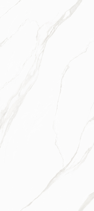 X2712S0001AR