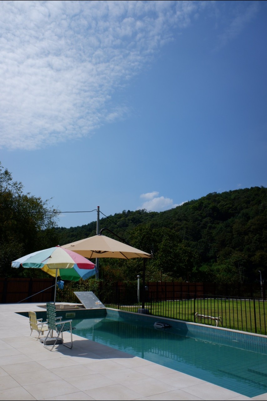 Pet-Friendly Pool Villa