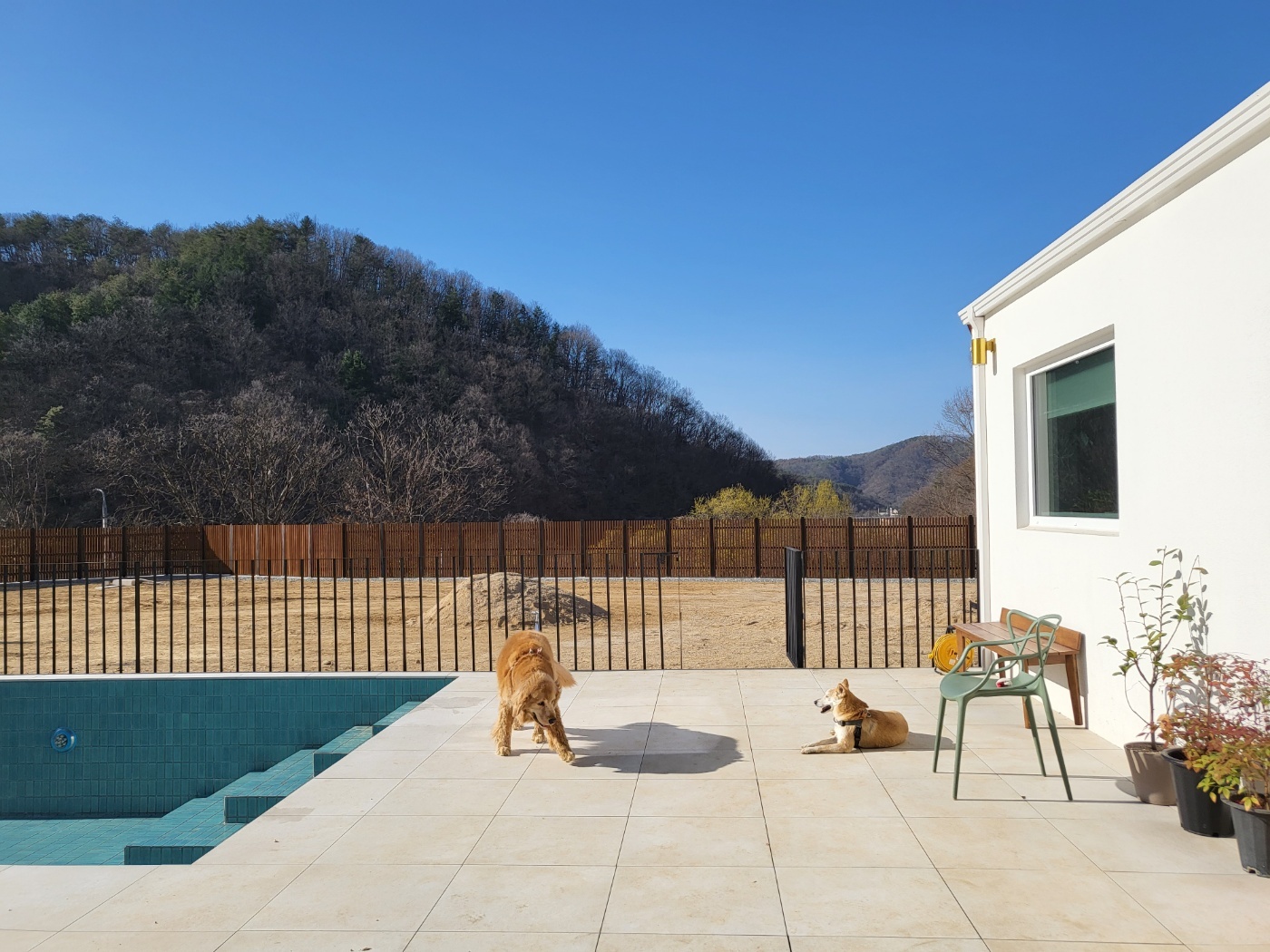 Pet-Friendly Pool Villa