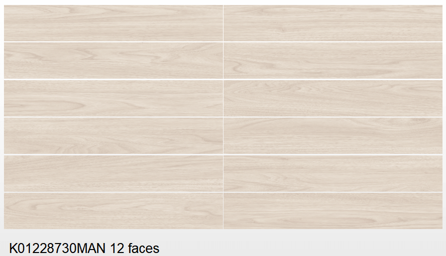 K01228730MAN