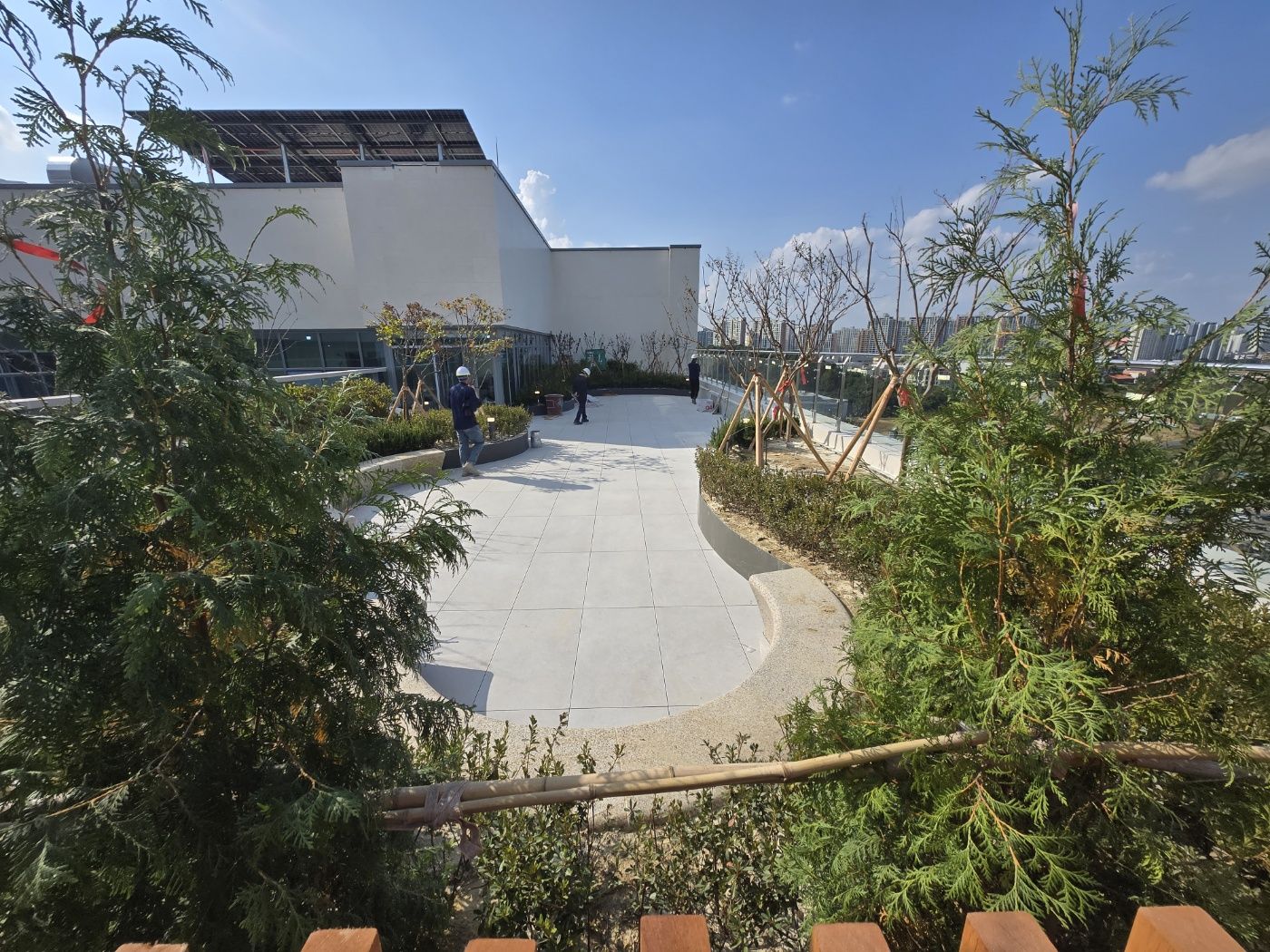 Green Roof of the Hospital